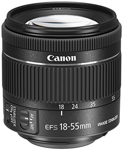Canon EF-S 18-55 mm f/4-5.6 is STM Objectif pour Appareil Photo - Noir (certifié reconditionné)