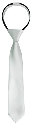 Alizeal Boys Solid Color Pre-tied 2.4'' Zipper Skinny Neckties for Kids, Silver