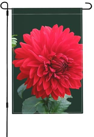 Dahlia rouge, Gartenflagge doppelseitig, dekoratives Hofbanner für den Innen- und Außenbereich, Hofhaus, 30 x 45,5 cm