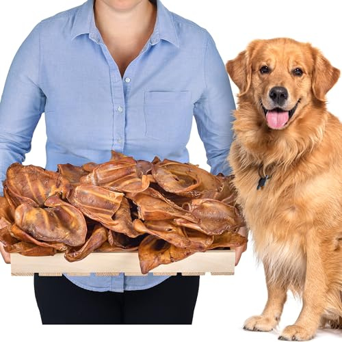 Orejas de cerdo (50 unidades) | Golosinas para perros | Huesos de perro para perros grandes