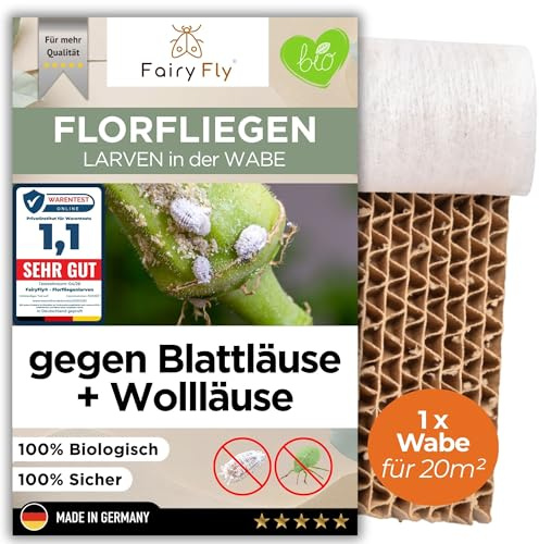 FairyFly® Florfliegenlarven gegen Blattläuse & Wollläuse – 1 Wabe für 20 m² – bis 500 Larven Nützlinge zum Streuen für Gemüse-, Cannab.-, Zier & Zimmerpflanzen - Starke Wirkung gegen Befall
