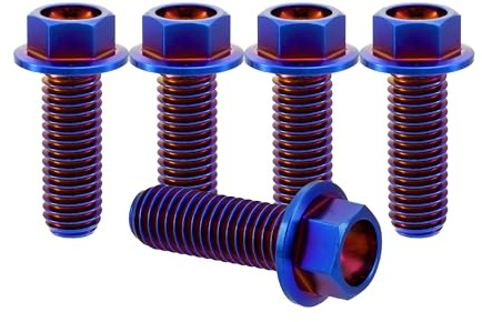 RISON-Titanium Sechskantschrauben mit Flansch M8x1.25x20mm, 5 Stück Titanschrauben Sechskant Kopf Schrauben, Flanschschrauben Titanbolzen Maschinenschrauben für Motorrad, Fahrrad Modifikation