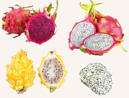 Fresh dragon fruit selection box - white, red and yellow dragon fruit! - Expertly sourced by My Exotic Fruit