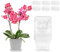 duozoanz Vaso Orchidea Trasparente 6 Pieza Vasi per Orchidee Trasparenti 10cm Vaso per Orchidee Trasparente con Fori Drenaggio e Sottovaso per Interno Esterno