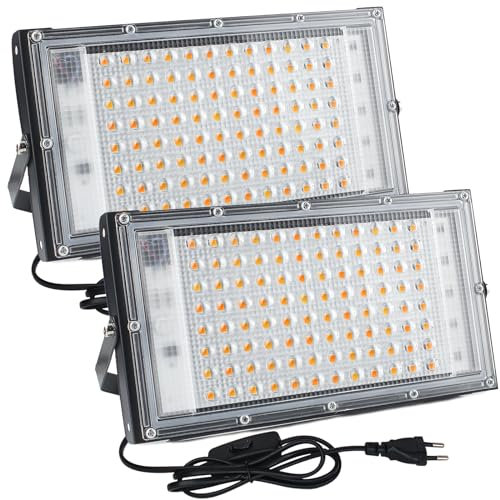 CREATESTAR 100W Faretto LED da Esterno, 2pcs Faro LED da Esterno 10000Lm Super Luminosa, 3000K Bianco Caldo Faretti led, IP65 Impermeabile Luce di Sicurezza per Garage, Cortile, Giardino