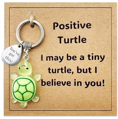 AIKOBAA Small Green Turtle Keychain with Inspirational Metal Token - I May Be a Tiny Turtle, But I Believe in You Motivational Gift, Cute Animal Keyring for Positivity & Encouragement (Tortoise)