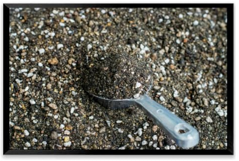 Mixed soil growing cactus Black Framed Canvas Wall Art for Living Room Bedroom Kitchen Bathroom Prints Pictures Wall Decor Posters Painting Artwork 8x12