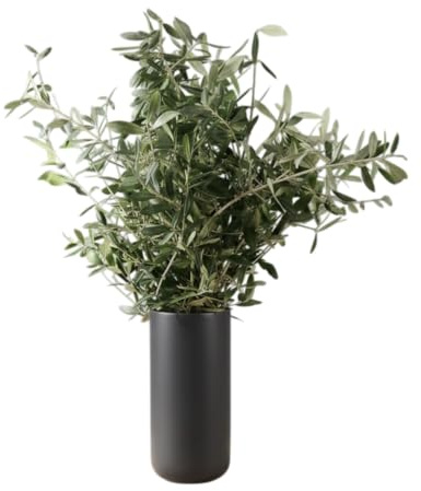Bouquet de Olivo Natural con Presencia Silvestre | DECOALIVE