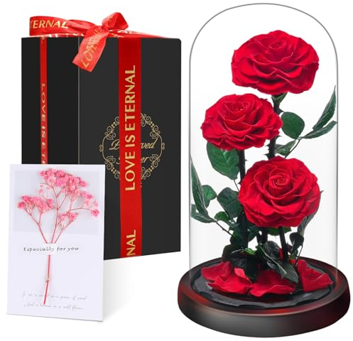 Noël Cadeaux pour Femmes - Rose Éternelle sous Cloche, Naturelle Fleur Eternelle Cadeau, Idée Boite Rose Eternel, Cadeau pour la Saint-Valentin, Anniversaire, Femme,Copine,Amie,Maman,Grand Mere