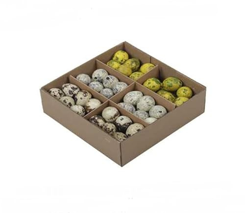 RiloStore 72 STK Wachteleier ausgeblasen bunt Natur Gelb o470 Braun Mix ausgeblasen Naturdeko Landhaus Osterschmuck Basteln Kindergarten Ostern Deko Eier Wachteln Dekoeier Osterdeko