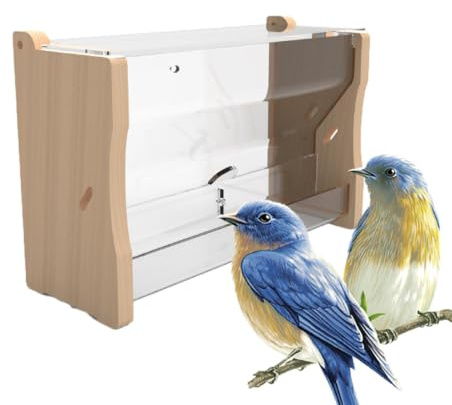 Kycklingmatare, Vaktelmatare Bird Water Dispenser Pet Food Container | Automatisk för vaktelfåglar Parakitbur Djurbur Matbehållare Box Dispenser Tillbehör Djurtillbehör Matningsko