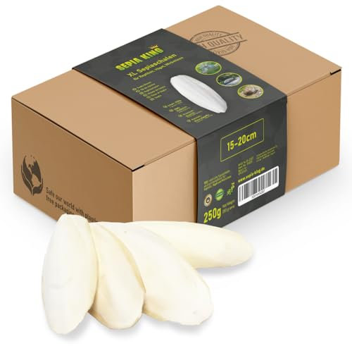 Sepia King Sepiaschalen – XL Box 250g 15-20cm | Natürliche Kalzium und Mineralstoff-Quelle | Sepia Schalen - Futter für Reptilien, Schildkröten, Bartagame, Vögel, Terrarium Zubehör