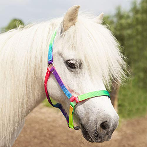 Equipride Regenbogen-Halfter mit passendem Zugseil