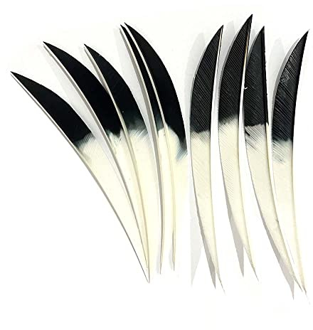 ACCMOS 36/60 STK Bogenschießen Pfeilfeder Jagd Schießen Pfeil Fletching 5 Zoll Verlaufsfarbe Truthahnfeder für Pfeil und Bogen DIY Pfeile Zubehör