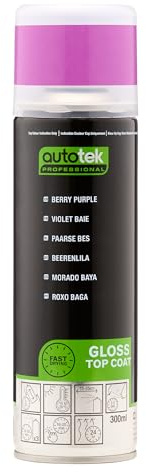 Autotek Enamel Berry Purple Gloss Spray Paint 300ml (RAL 5022) – Professional Fast Drying Aerosol Paint, High Gloss Finish for Metal, Plastic, Wood & Ceramic, RAL Colour Match