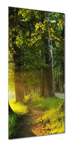 Wallario Selbstklebende Duschrückwand 80 x 200 cm mit Motiv Allee bei Sonnenuntergang - Wandverkleidung Fließenersatz mit Hochglanzlaminat in Glasoptik