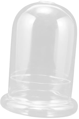 BESPORTBLE DôMe en Verre Transparent avec Base 8 Pouces Cloche en Verre pour DéCorations De Fleurs StabiliséEs Et Terrarium pour Plantes aéRiennes Artisanales
