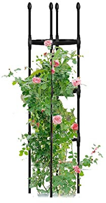 Rankgitter aus Edelstahl, für Kletterpflanzen, Durchmesser: 25 cm, 30 cm, 35 cm, verstellbare Ringe, perfekt für Tomaten, Reben und mehr, 1 Stück