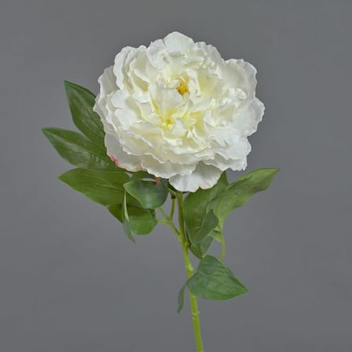 artplants.de Künstliche Blume Pfingstrose Divin, Creme, 65cm - Künstliche Päonie