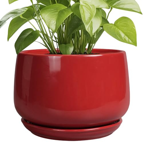 G EPGardening Keramiktöpfe für Pflanzen, 20,3 cm, große Keramik-Pflanzgefäße für Zimmerpflanzen, Outdoor, moderner Blumentopf mit Drainagelöchern und Untersetzer, für Büro, Garten, Terrasse, Rot