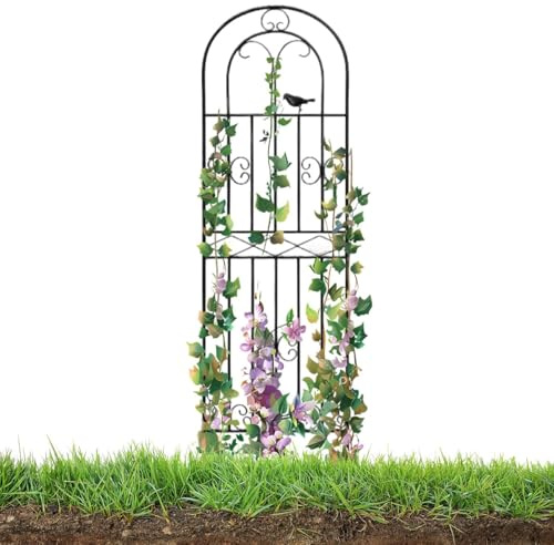 GLMGBP Treillis de Jardin en métal pour Plantes grimpantes, 50 x 120 cm et 50 x 180 cm, Support en Fer Noir pour Plantes grimpantes, légumes, rosiers, Fleurs, concombres, clématites (50 x 120 cm)
