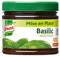 Knorr Mise en place Basilic, Sans Colorant ni conservateur, Vegan, 340g