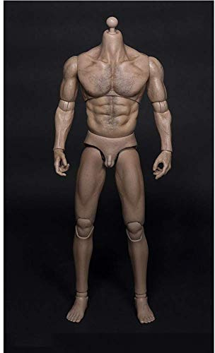 ZSMD Dicke Brust Breite Schulter 1/6 Scale Wolf Onkel Brustbehaarung Erhöht Muskelkörper Bewegliche Puppe Modell Für VERYCOOL Hottoy PHICEN