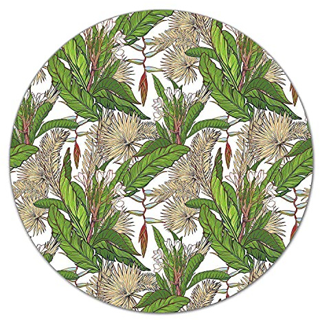 Coloray Glass Chopping Board Worktop Saver ⌀ 15.8 inch/fi 40cm Tempered Safety Glass Cutting Board Splashback for Kitchen Protection - Tropical Jungle Paradise Leaves Monstera