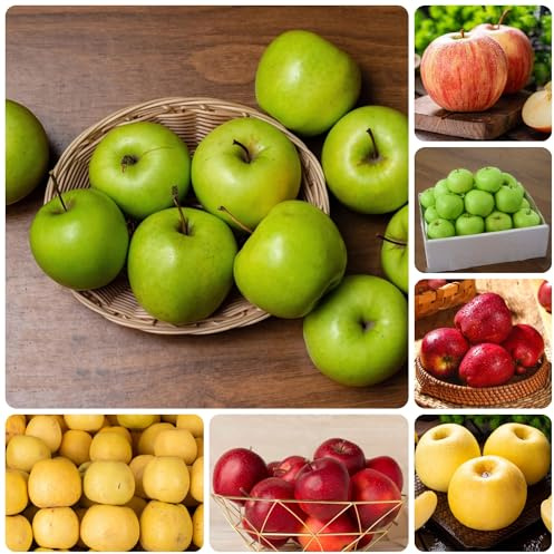 semi di mela di melo, d'appartamento di verdi resistenti all'esterno di letti rialzati, in crescita sapote, 80pcs