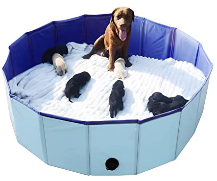 Artilife Whelping Box for Dogs Welp Box Whelping Pool,Puppy Whelping Pen for Dogs Puppies,Great for Puppies,Easy to Clean (47inch Dia.x12inch H(120x30cm), Blue)