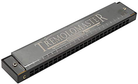 24 Hole C Key Harmonica, Beginner Harmonica with Stainless Steel Cover Plate and ABS Resin Body, Musical Note Design for Easy Learning (Blue) (Matte Black) (Gloss Black)