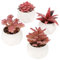 BELLE VOUS Pack de 4 Plantas Artificiales Decorativas Pequeñas - Mini Macetas Decorativas de Cerámica Realistas - para Hogar, Oficina, Mesa, Escritorio, Dormitorio o Decorar el Baño