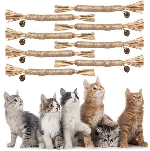 Gypie 8 Katzenminze Stick,Interaktive Katzenminze Sticks Für Katzen,Katzen Kaustangen Selbstbeschäftigung,Kaustangen Katze Wird für zahnpflege und Gegen Mundgeruch
