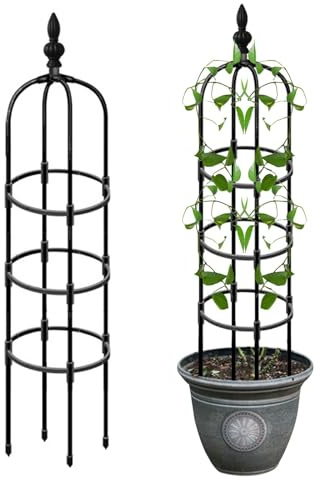 Diamètre de l'anneau - Grille pour grimpantes en Plein air - Tour de Jardin - Grille obélisque en Acier revêtu - Support d'escalade pour Fleurs d'intérieur en Plein air - Fleurs légumes vignes