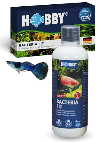 HOBBY Aquaristik Bacteria Fit I 500 ml I bioaktive Reinigungsbakterien für Aquarien I Wasseraufbereiter zum biologischen Abbau von Futterresten, Ammonium und Nitrit I natürliche Wasserreinigung