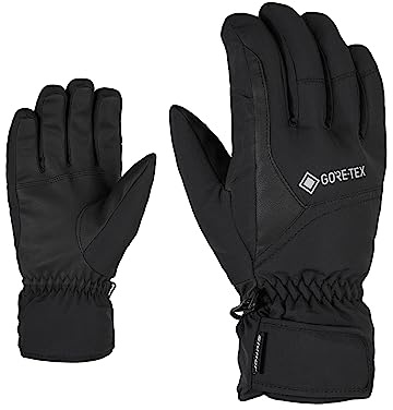Ziener Erwachsene GARWEN GTX Ski-Handschuhe/Wintersport | Wasserdicht, Atmungsaktiv, Gore-tex, Black, 9.5