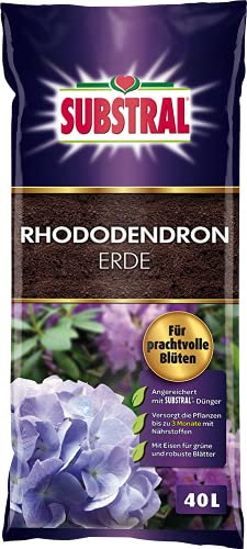Substral Rhododendron Erde 40l - für Rhododendren, Hortensien, Azaleen, Heidelbeeren, u.a., 3 Monate vorgedüngt