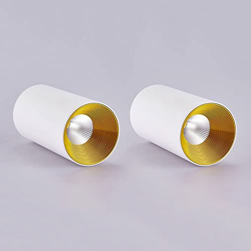WXJLYZRCXK Lámpara de Pared 2 Pcs Led Techo Spot Light Superficie Montado Downlight, Foco de Acento Direccional Moderno, Foco de Techo de 12W de Aluminio para la Galería de Corredores Cocina Sala de E