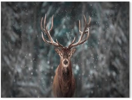 Malen Nach Zahlen Erwachsene Kinder,Das Hirsch vor winterlichem Hintergrund -Tier,Leinen Segeltuch, DIY Ölgemälde Weihnachten Geschenke Ohne Rahmen Wand Kunst Hauptdekoration（30x40cm）11.8x15.7 Zoll-2