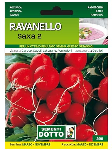 Sicignano | Semi Ravanello Saxa 2. Radice Rossa, Adatta a Forzare e Primizia, Busta Extra - 2 Confezioni da 10g, Pianta Precoce, Raccolto Scalare da Marzo a Dicembre