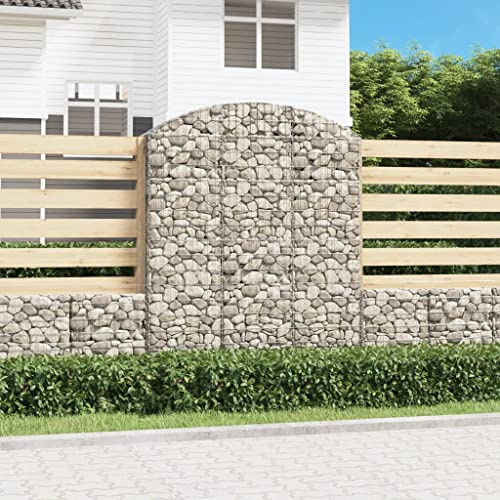 AJJHUUKI Lawn & Garden-Gardening-Pots & Planters-Arched Gabion Basket 150x30x180/200 cm Galvanised Iron
