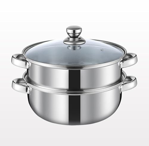 Steamer Pot for Cooking 3.0-Quart Steam Pot with Lid 2-tier Multipurpose Stainless Steel Steaming Cookware with Handle for Vegetable, Soups, Stews and Pasta