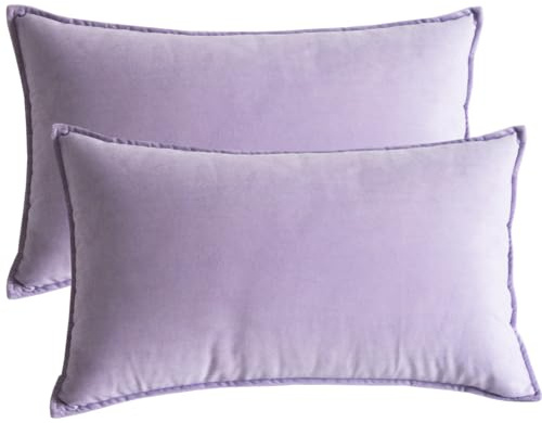 Lutanky Taro Purple Velvet Cushion Covers 30 x 50 cm Decorative Rectangle Throw Pillow Covers (Pack of 2) Soft Oblong Piped Pillowcases for Sofa Bedroom with Invisible Zipper 12x20 Inch