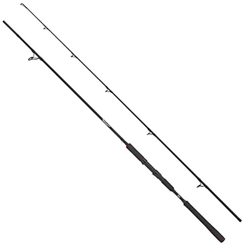 Abu Garcia Beast Deadbait Angelrute