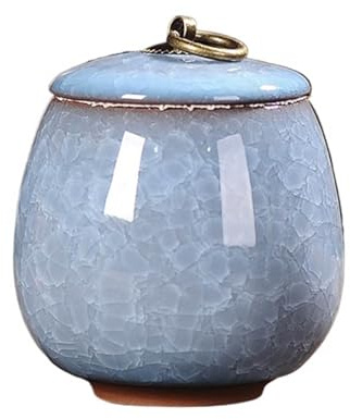 Vnook Coffee canister, tea canister, mini tea caddy, multifunctional tea caddy, ceramic coffee canister, used in the kitchen for storing tea, grains and sugar(Blue)
