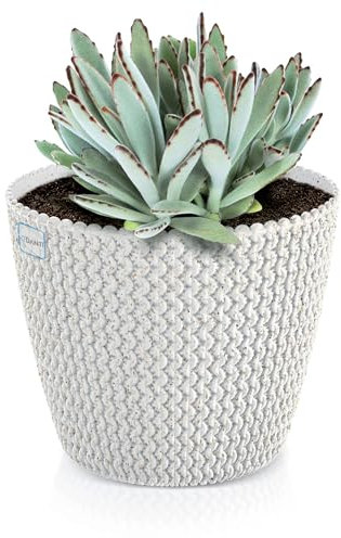 EDANTI Pot de fleurs ECO - Pot de fleurs rond - Petit pot naturel avec bois - Pour l'intérieur et l'extérieur - Pour fleurs, jardin, balcon, terrasse, maison - Blanc - 25,9 cm