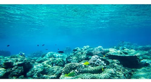 MIRRORANG 180x46cm Aquarium Hintergrund Wasserpflanze Fluss Aquarium Poster Hintergrund Vinyl