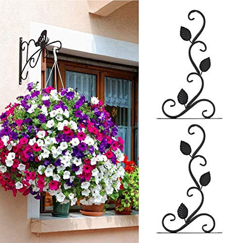 SEAFRONT Starker und Fester Wand-Pflanzenaufhänger, Pflanzenaufhänger für Innenräume, Wohnzimmer, Gärten, Gartendekoration für Familienwand-Blumentöpfe, Ornament (BLACK)