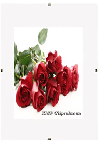 YONNKITEXX HOME Bilderrahmen Cliprahmen Fotorahmen Bildhalter A1 A2 A3 A4 A5 A6 B2 Kunstglas Plexi (42 x 59,4 cm (DIN A2))