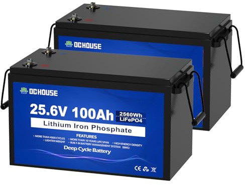 DCHOUSE Batería de Litio LiFePO4 de 24V 100Ah, Recargable para más de 4000 ciclos de Profundidad y protección BMS, Adecuada para Sistemas solares, autocaravanas, Barcos, Casas, Bancos de Paneles
